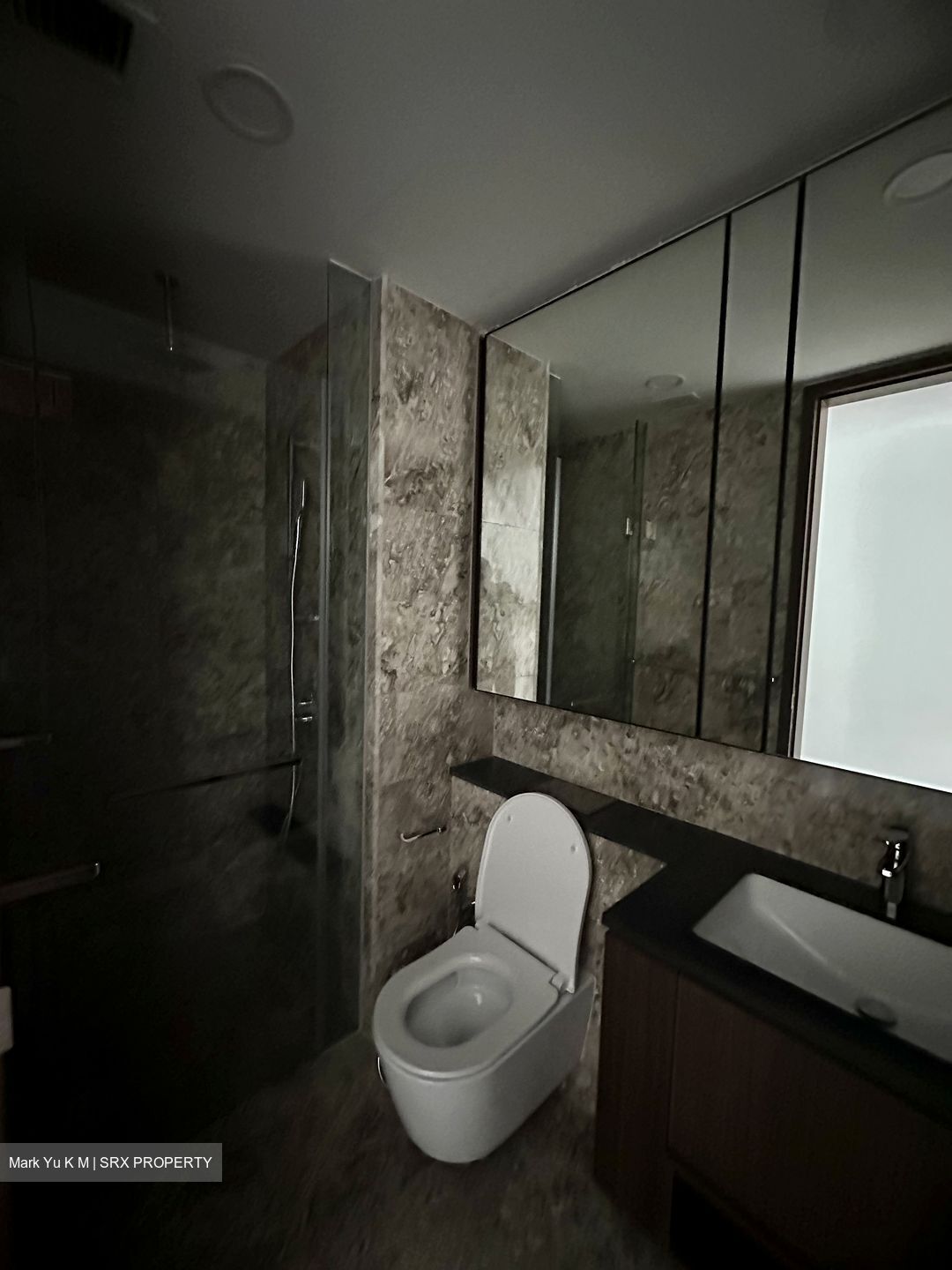 Kopar At Newton (D9), Apartment #503957481